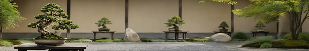 Bonsai Ausstellung mit Sake-Verkostung Augsburg